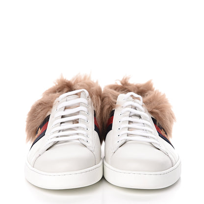 Gucci Calfskin Wool Web Bee Embroidered Mens Ace Sneakers 14 White 2 of 9