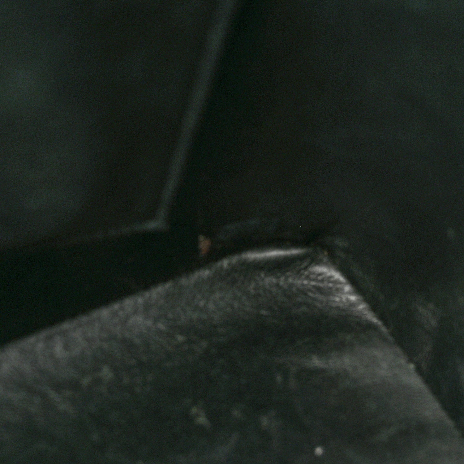 Chanel Lambskin Quilted Medallion Tote Black 12 of 12