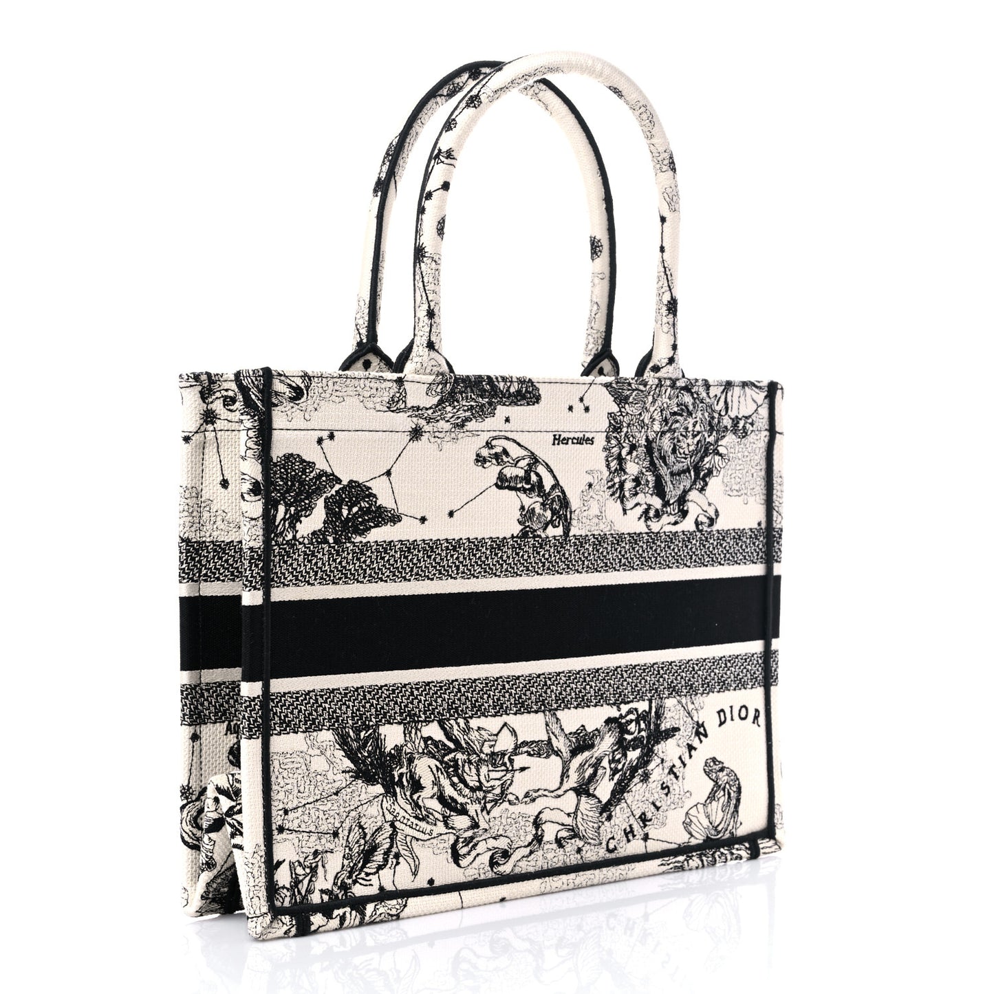 Canvas Zodiac Toile De Jouy Embroidered Medium Book Tote Latte