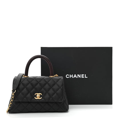 Chanel Caviar Lizard Embossed Quilted Mini Coco Handle Flap Black 20 of 20