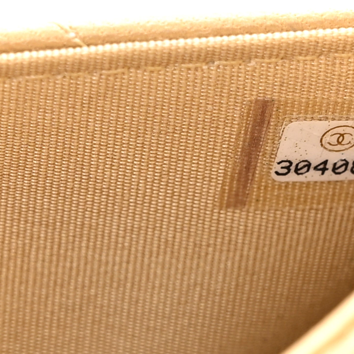 Metallic Goatskin Quilted Chanel 19 Wallet On Chain WOC Gold