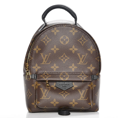Louis Vuitton Monogram Palm Springs Backpack Mini 1 of 14