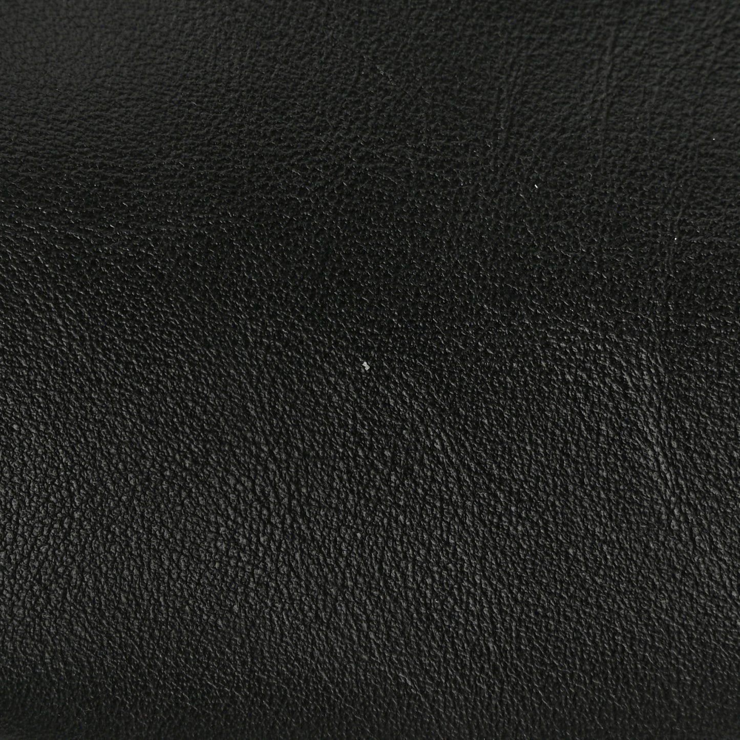 Vitello Grace Matte Nano Fendigraphy Hobo Charm Black