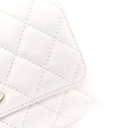 Chanel Goatskin Quilted Extra Mini Rainbow Coco Handle Flap White 10 of 11