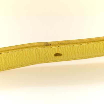 Celine Liege Calfskin Medium Classic Box Flap Bag Fluo Yellow 13 of 13