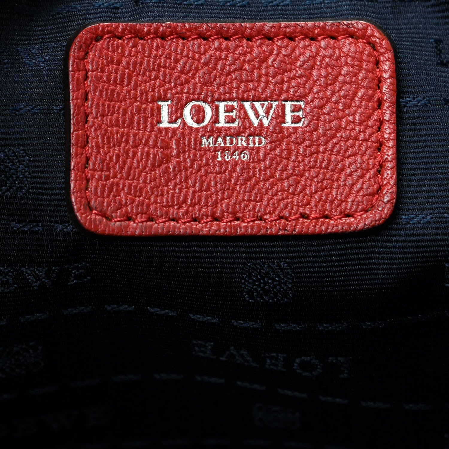 Loewe Goatskin Amazona Flame 8 of 8