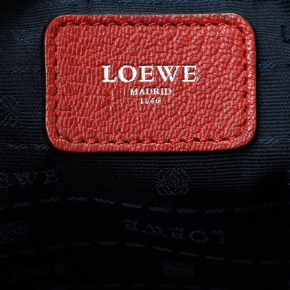 Loewe Goatskin Amazona Flame 8 of 8