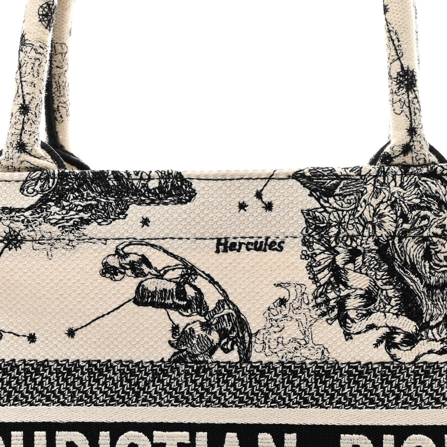 Canvas Zodiac Toile De Jouy Embroidered Medium Book Tote Latte