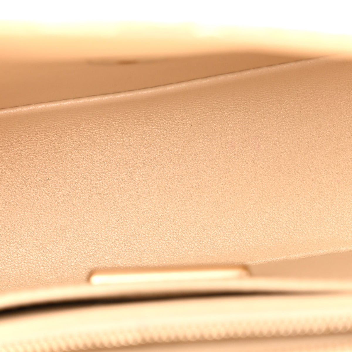 Metallic Snakeskin Mini Rectangular Flap White Gold