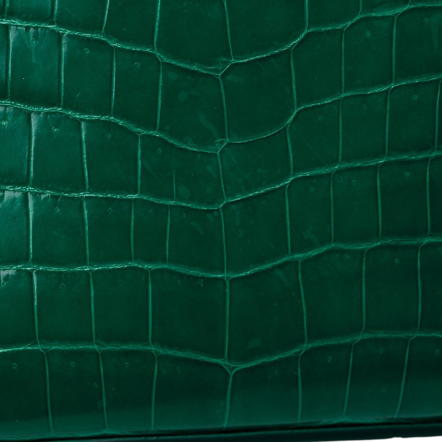 Louis Vuitton Crocodile Mini Capucines Emeraude 10 of 10