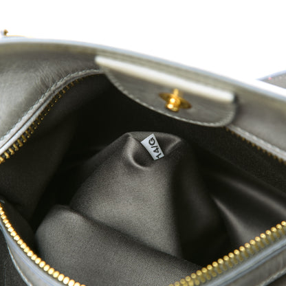Miu Miu Vitello Shine Top Handle Satchel Nube 8 of 18