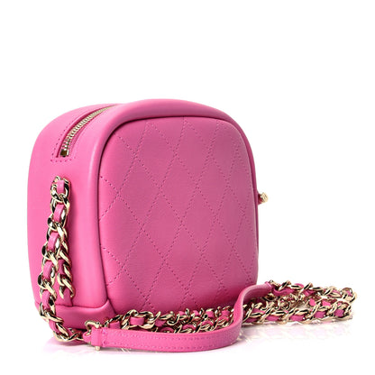 Chanel Goatskin Small Casual Trip Camera Case Pink 2 of 4