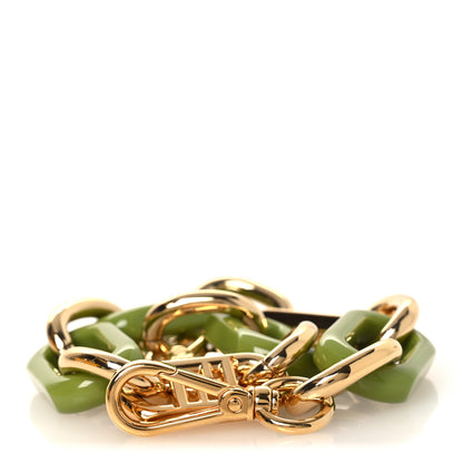 Fendi Metal Plexiglass Mini Strap You Gold Green 1 of 5