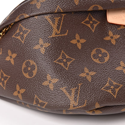 Louis Vuitton Monogram Bumbag 8 of 9