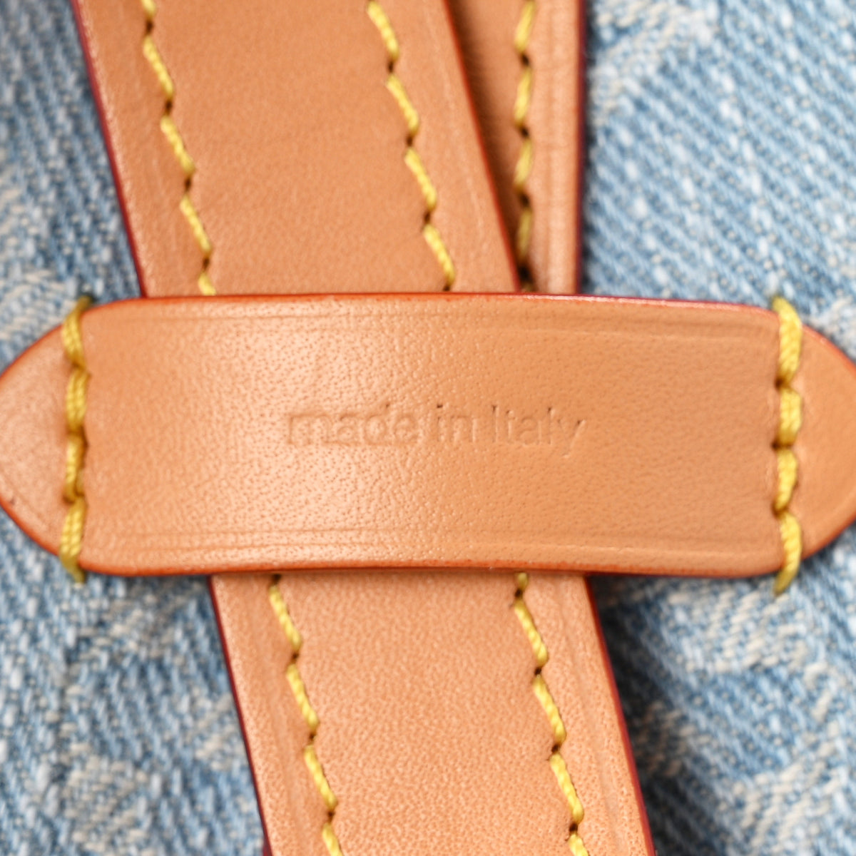 Monogram Denim CarryAll PM Sky Blue