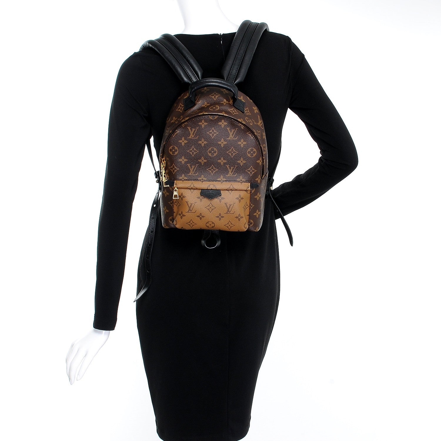 Louis Vuitton Reverse Monogram Palm Springs Backpack PM 2 of 7
