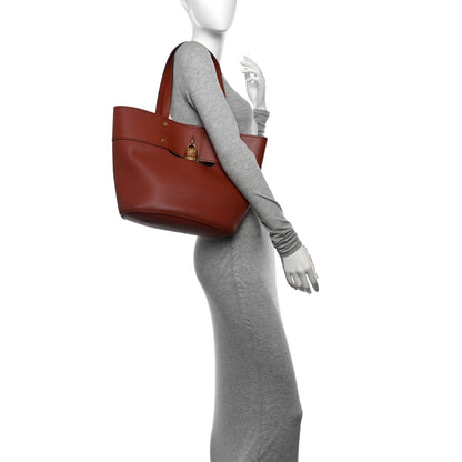 Chloe Smooth Grained Calfskin Medium Aby Tote Sepia Brown 2 of 11