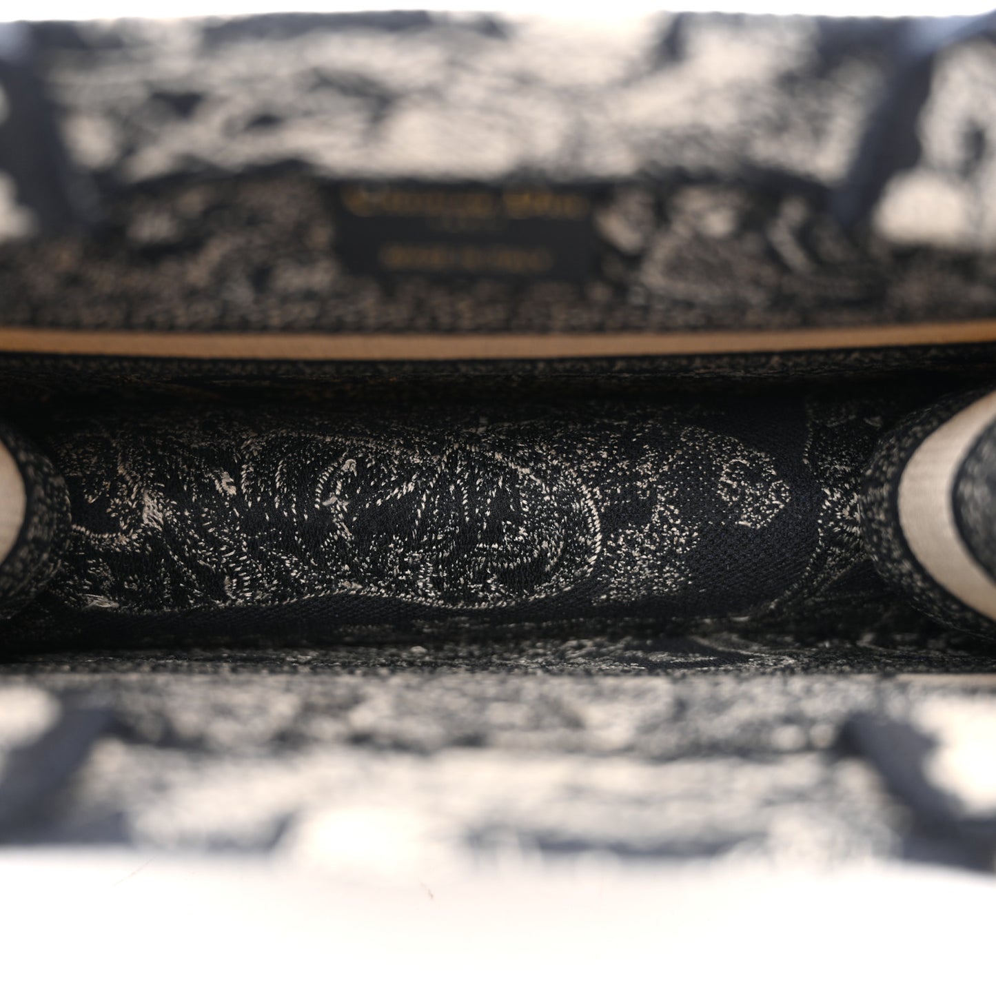Canvas Embroidered Small Dioriviera Toile De Jouy Book Tote Blue