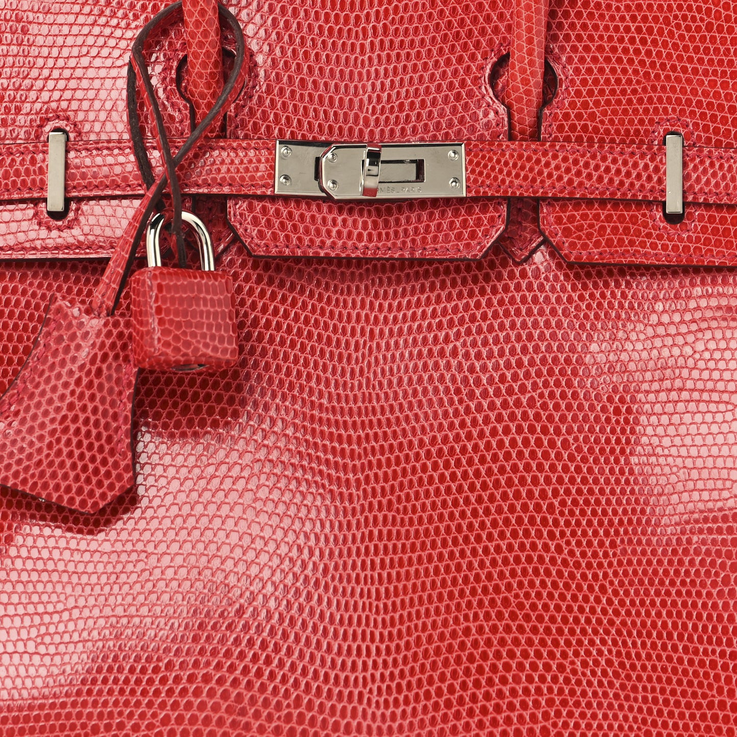 Lizard Birkin 25 Bougainvillea