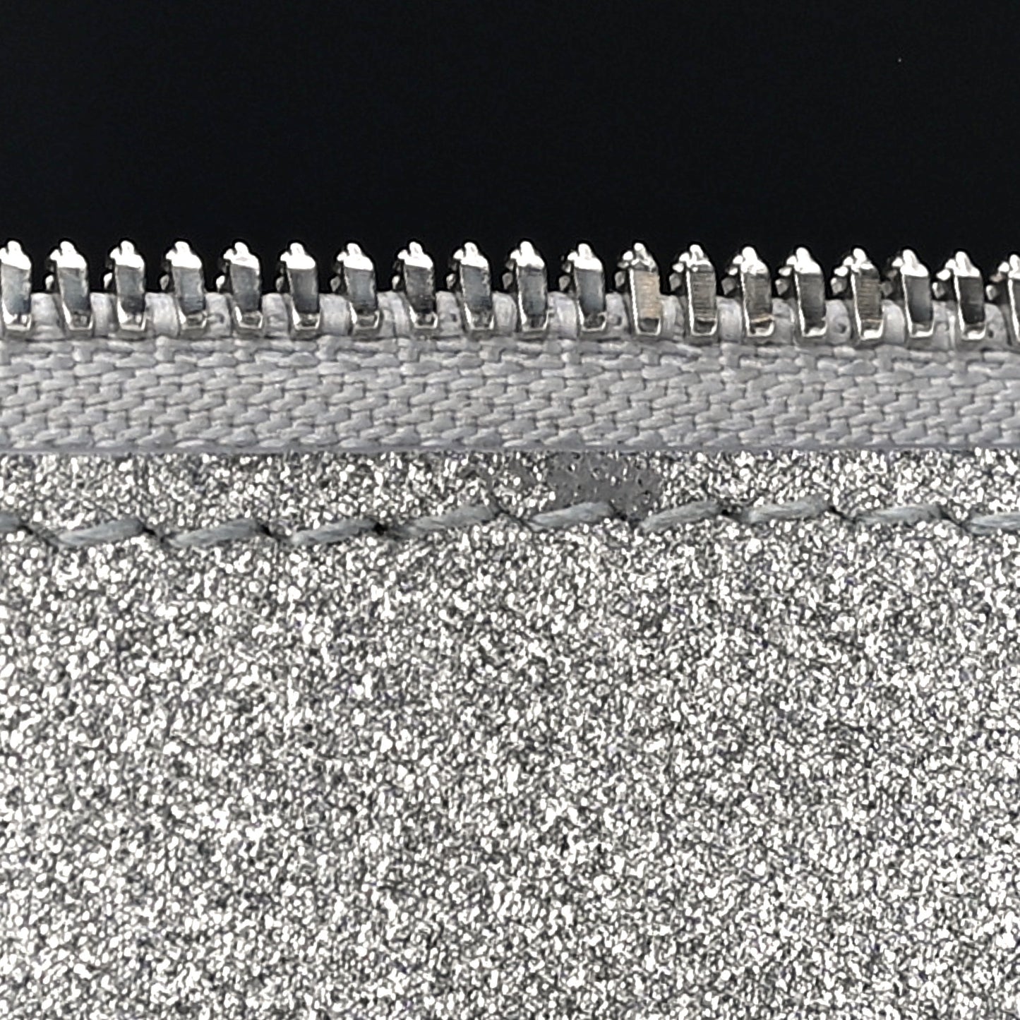 Glitter Calfskin Logo XS Everyday Camera Bag Silver