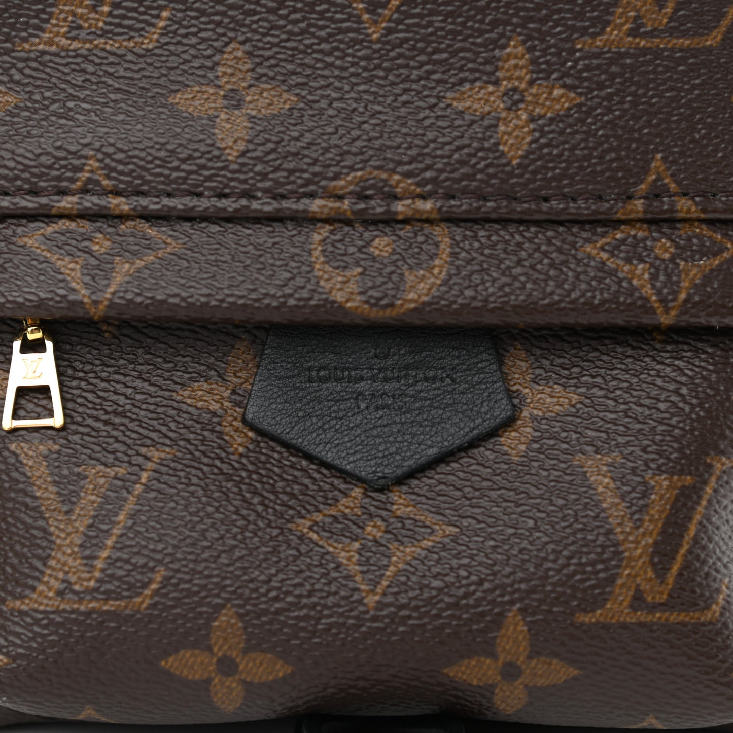 Monogram Palm Springs Backpack Mini