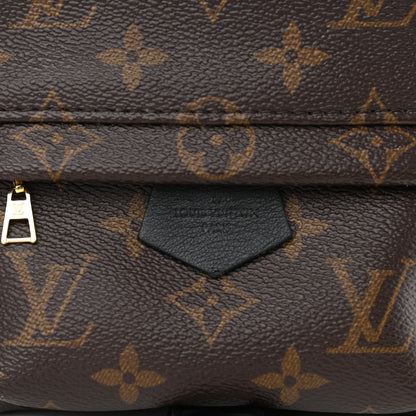 Louis Vuitton Monogram Palm Springs Backpack Mini 8 of 11