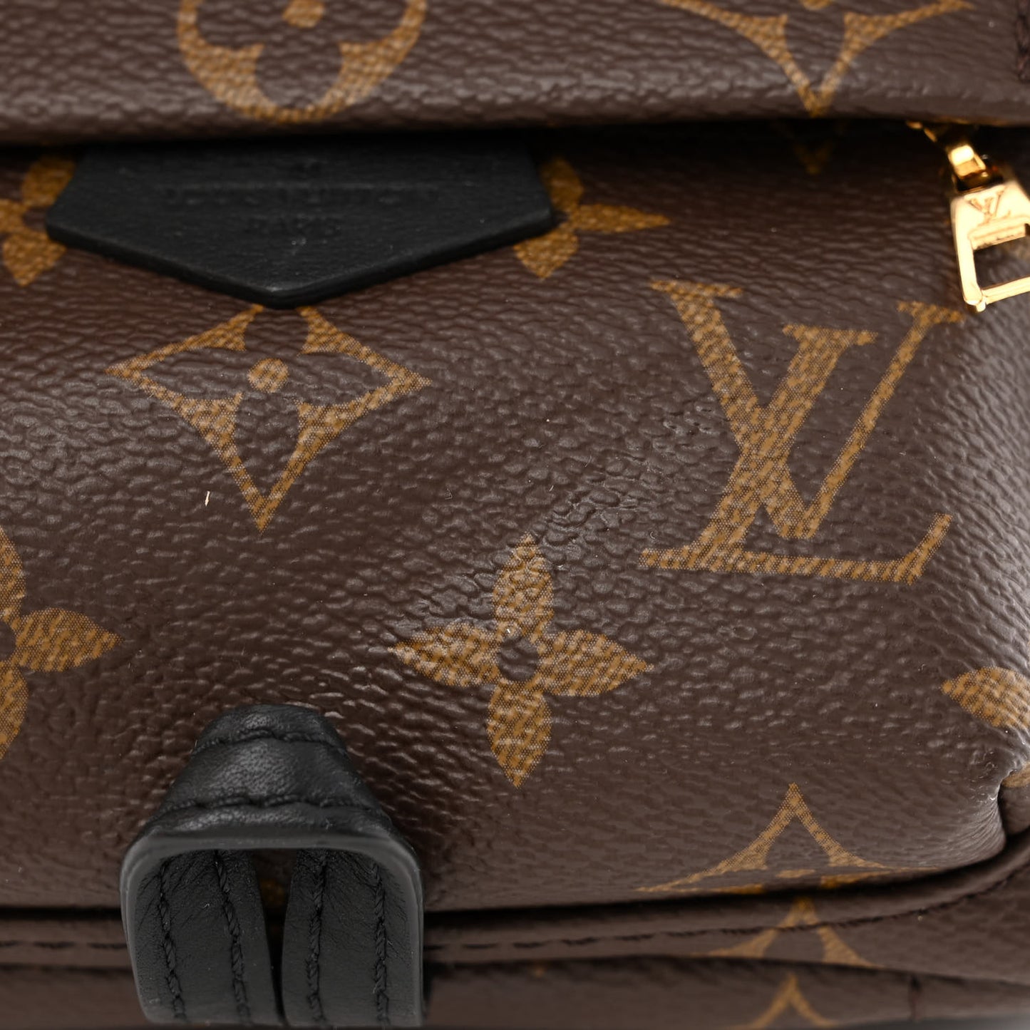 Monogram Palm Springs Backpack Mini