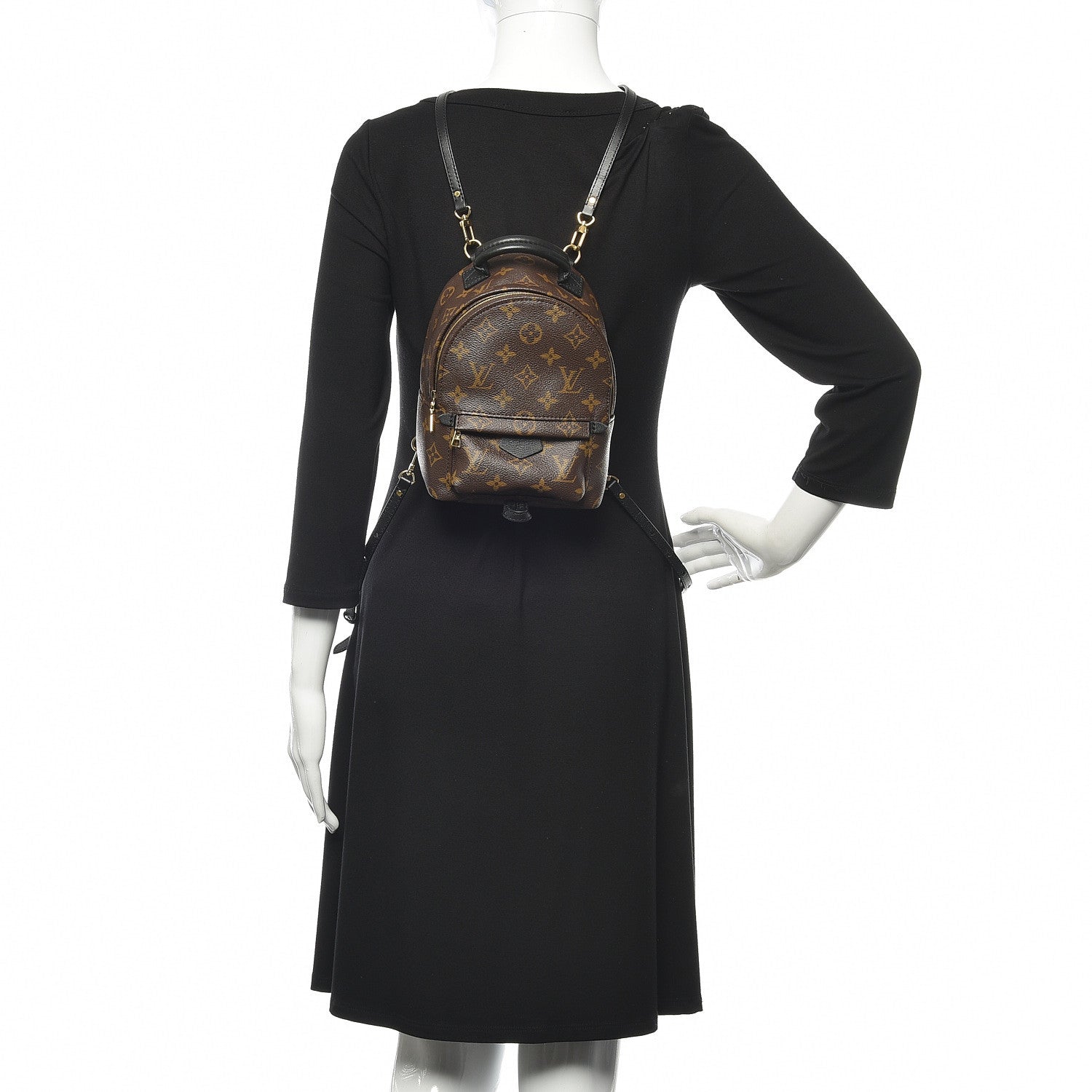Louis Vuitton Monogram Palm Springs Backpack Mini 2 of 12