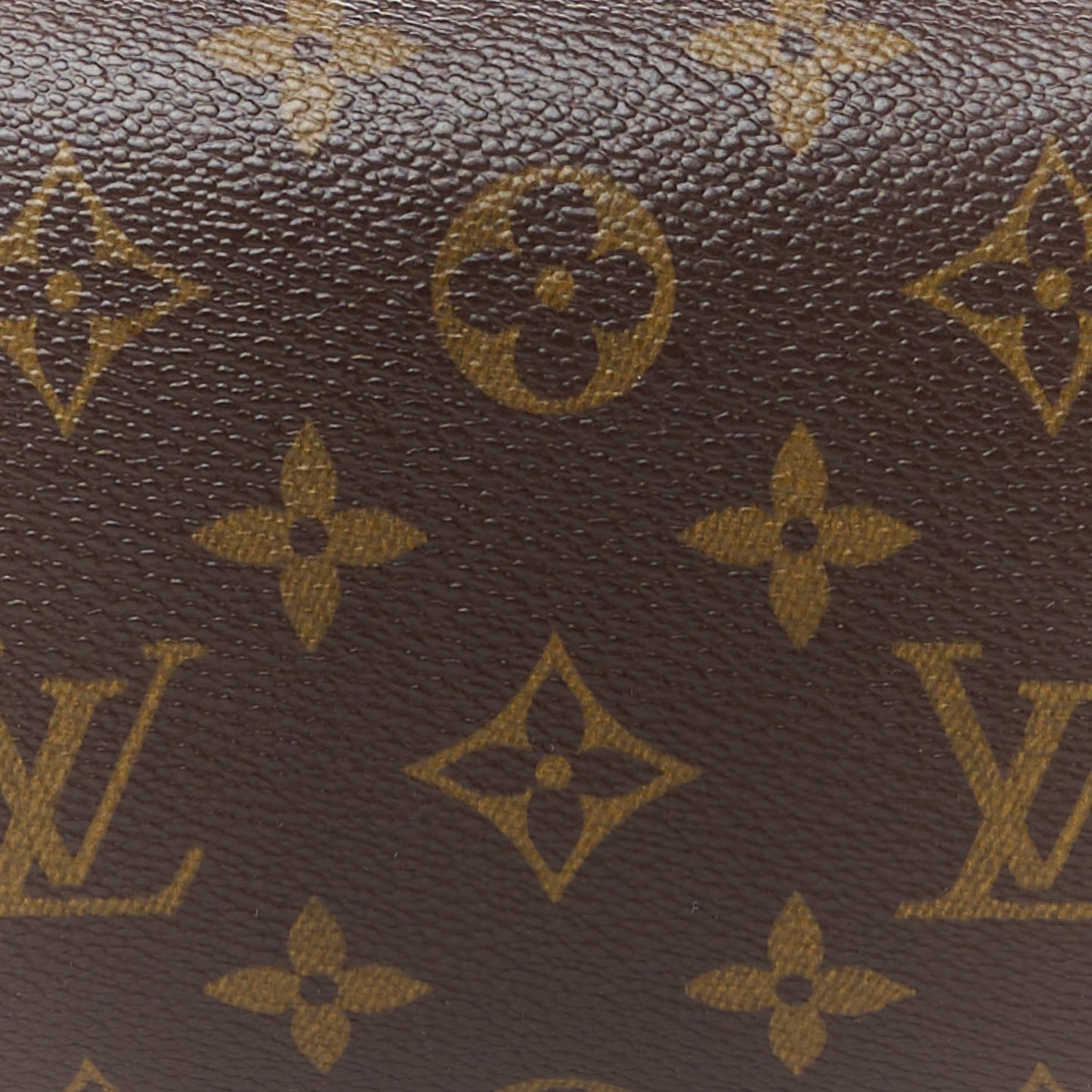 Monogram Papillon 26