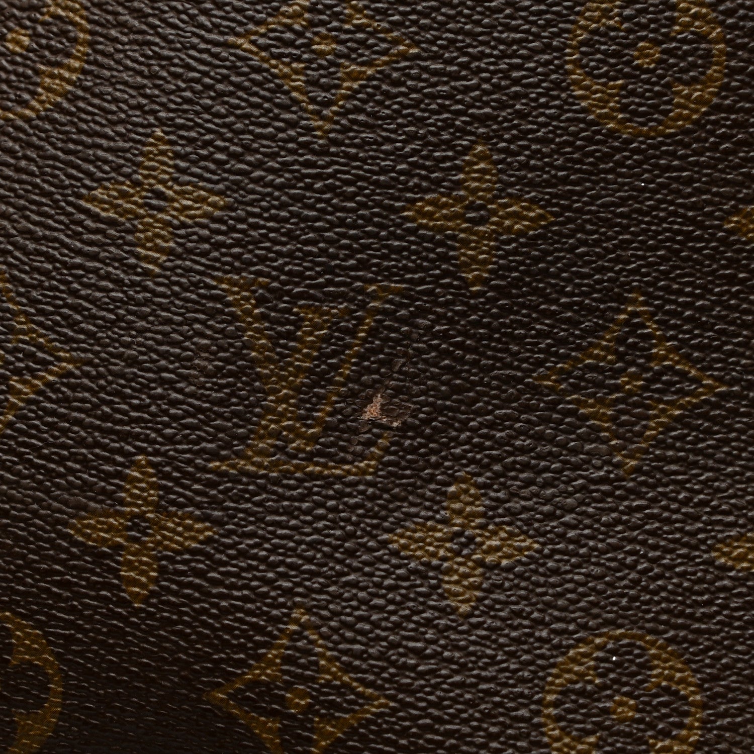 Louis Vuitton French Company Monogram Garment Bag 22 of 31
