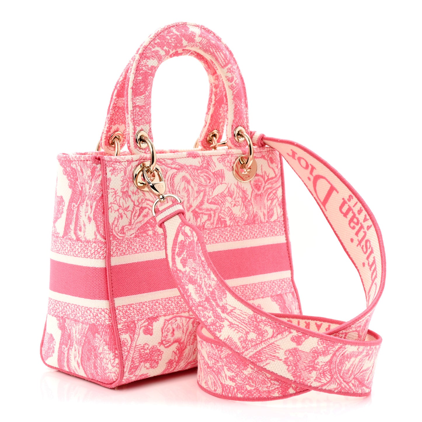 Canvas Toile De Jouy Reverse Embroidered Medium Lady D-Lite Fluorescent Pink
