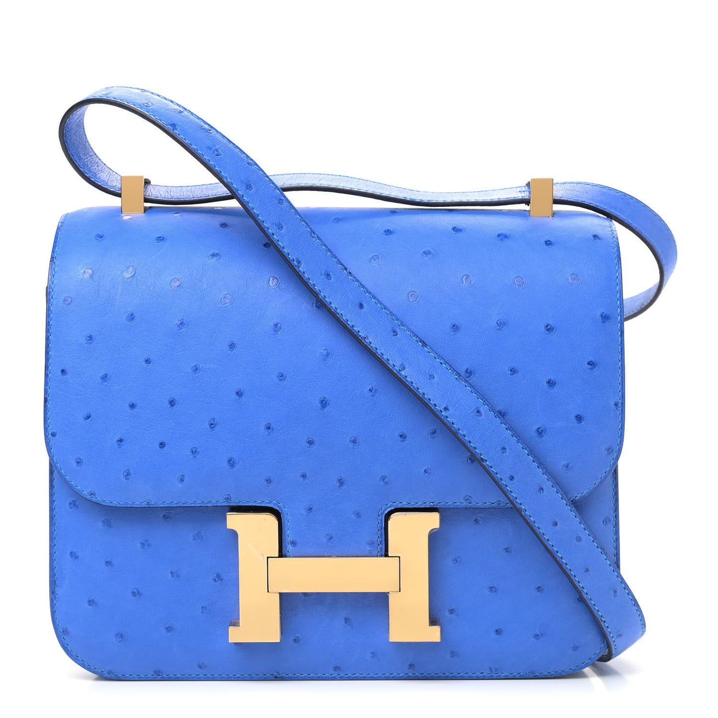 Ostrich Constance 24 Bleuet