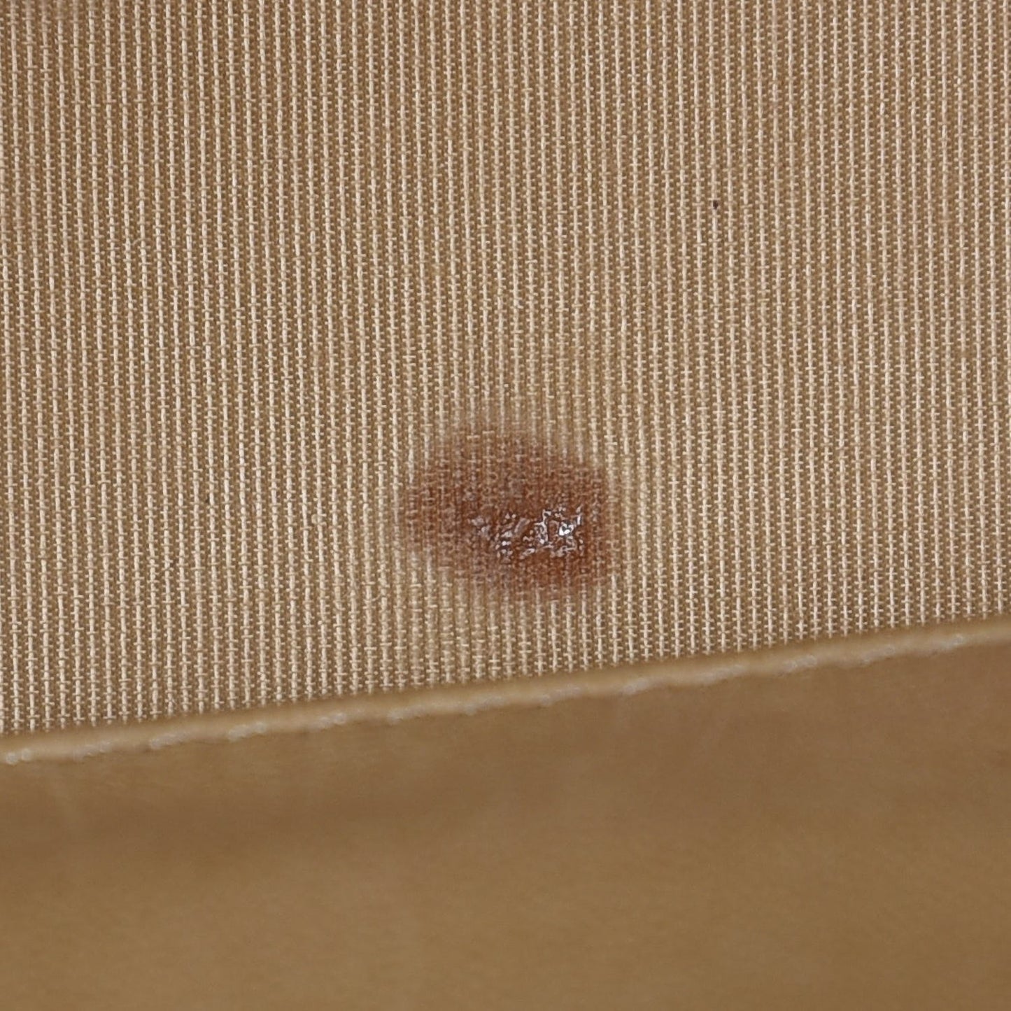 Canvas Camellia N°5 Tote Beige