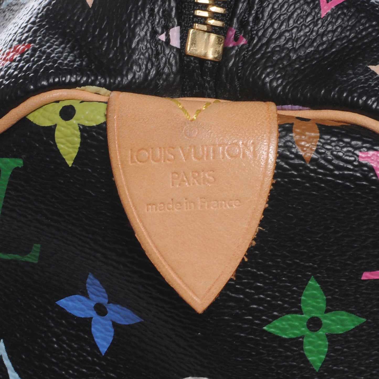 Monogram Multicolor Speedy 30 Black