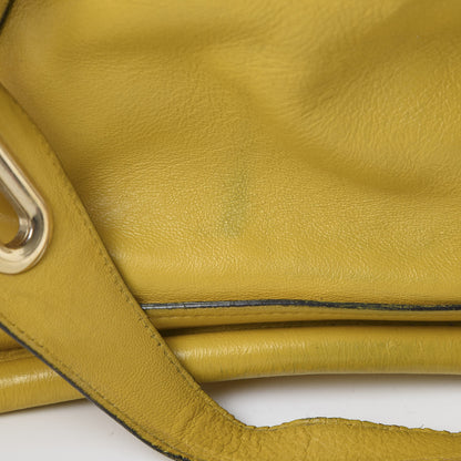 Chloe Calfskin Medium Paraty Citrus Grove 26 of 27