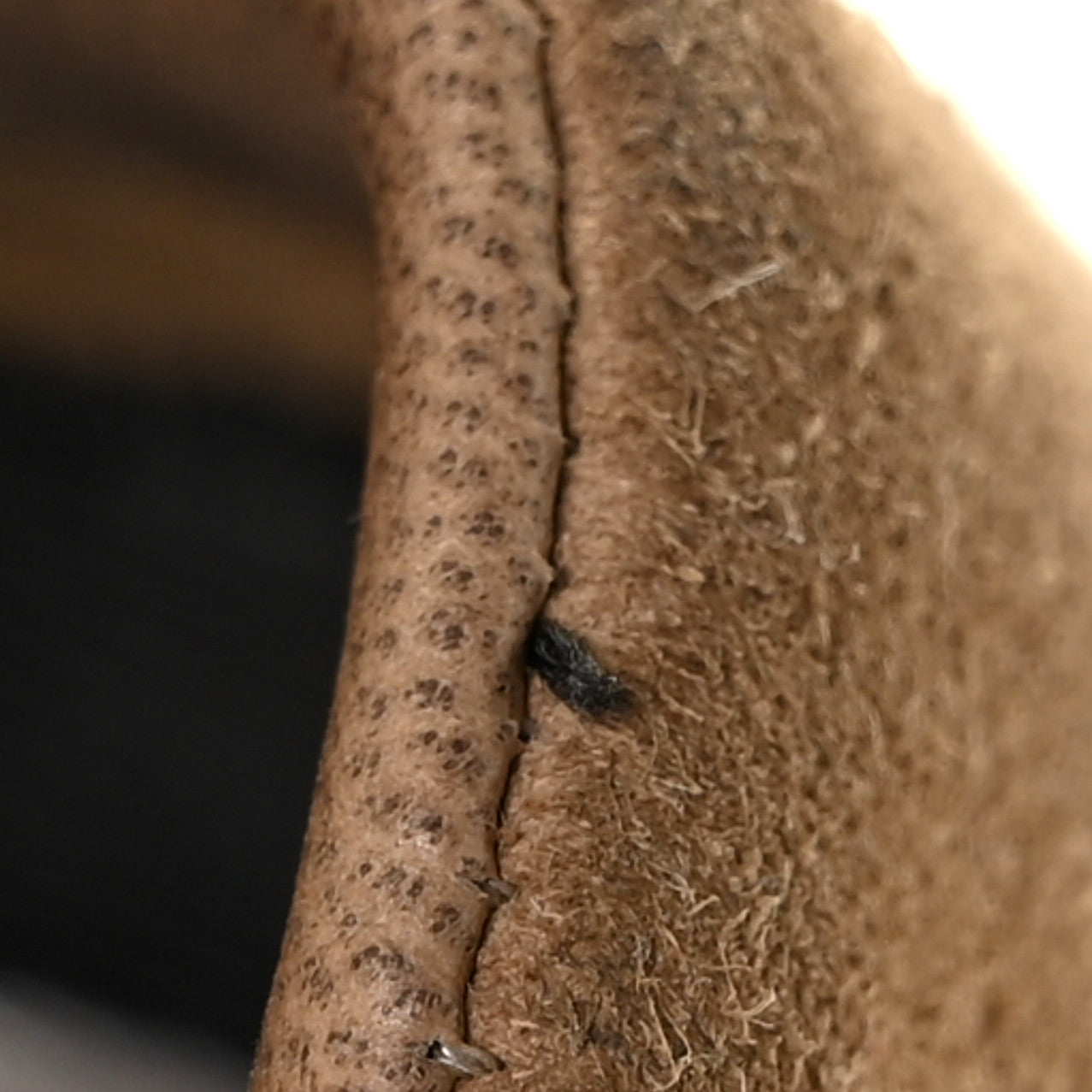 Suede Goatskin CC Sneakers 40.5 Dark Beige