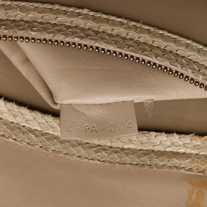 Celine Snakeskin Medium Phantom Luggage Grey 7 of 15