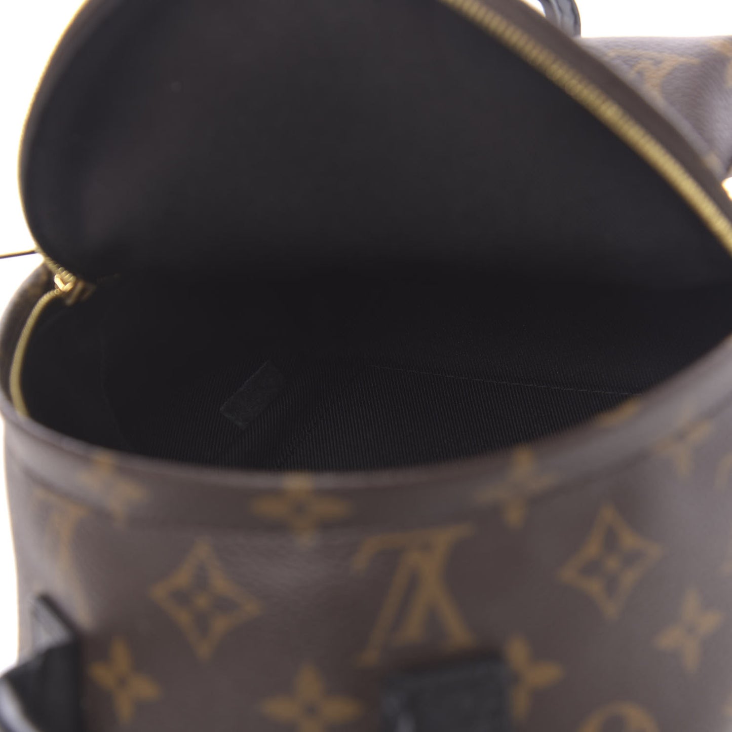 Monogram Palm Springs Backpack Mini