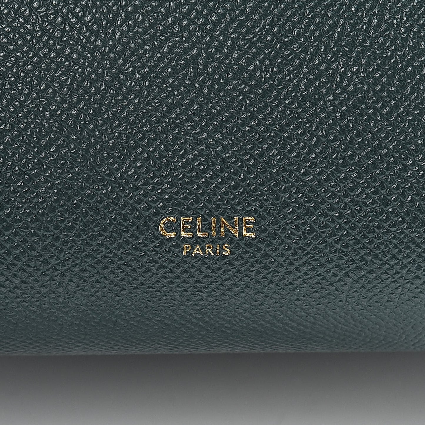 Grained Calfskin Nano Belt Bag Amazone