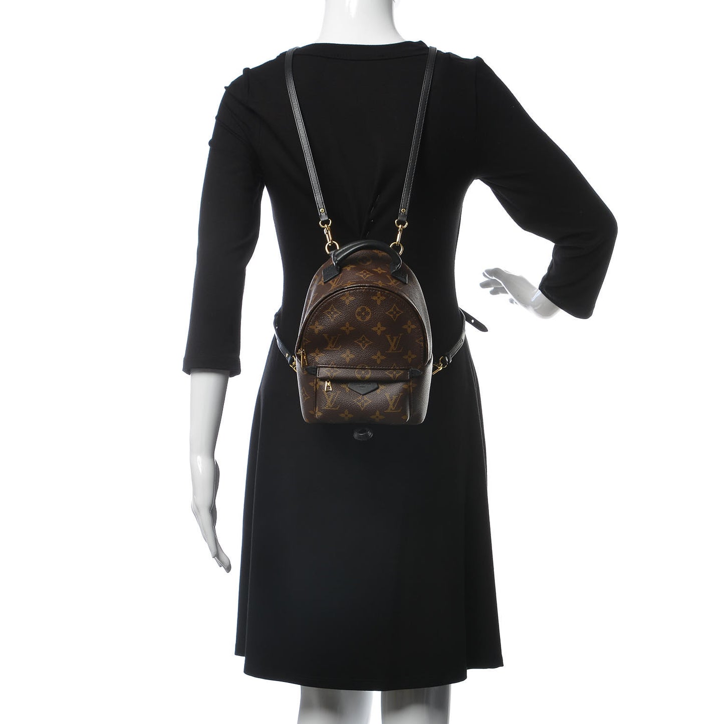 Monogram Palm Springs Backpack Mini