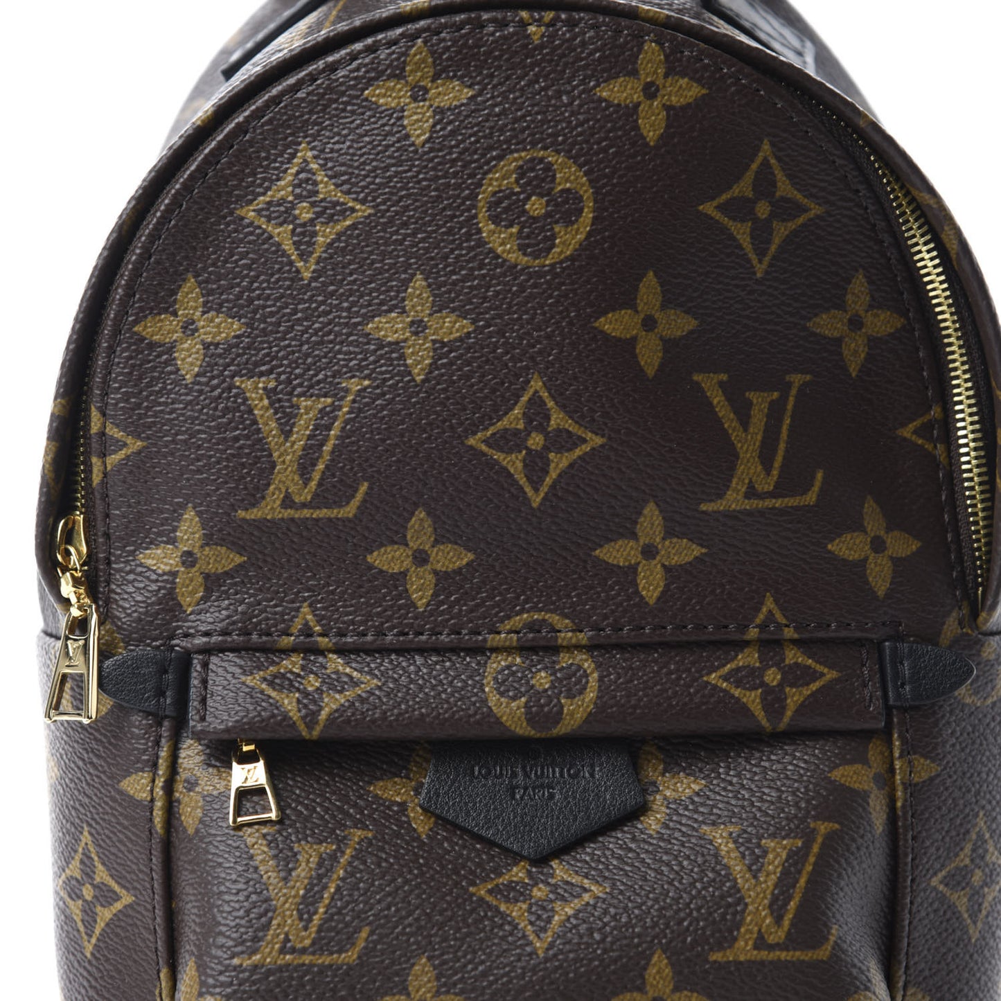 Monogram Palm Springs Backpack Mini