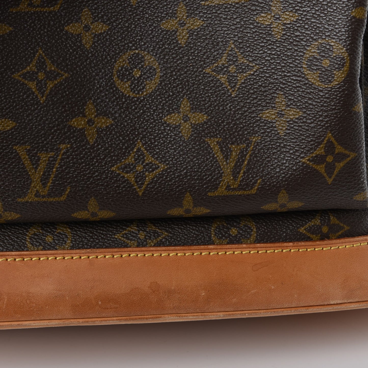 Monogram Montsouris GM Backpack