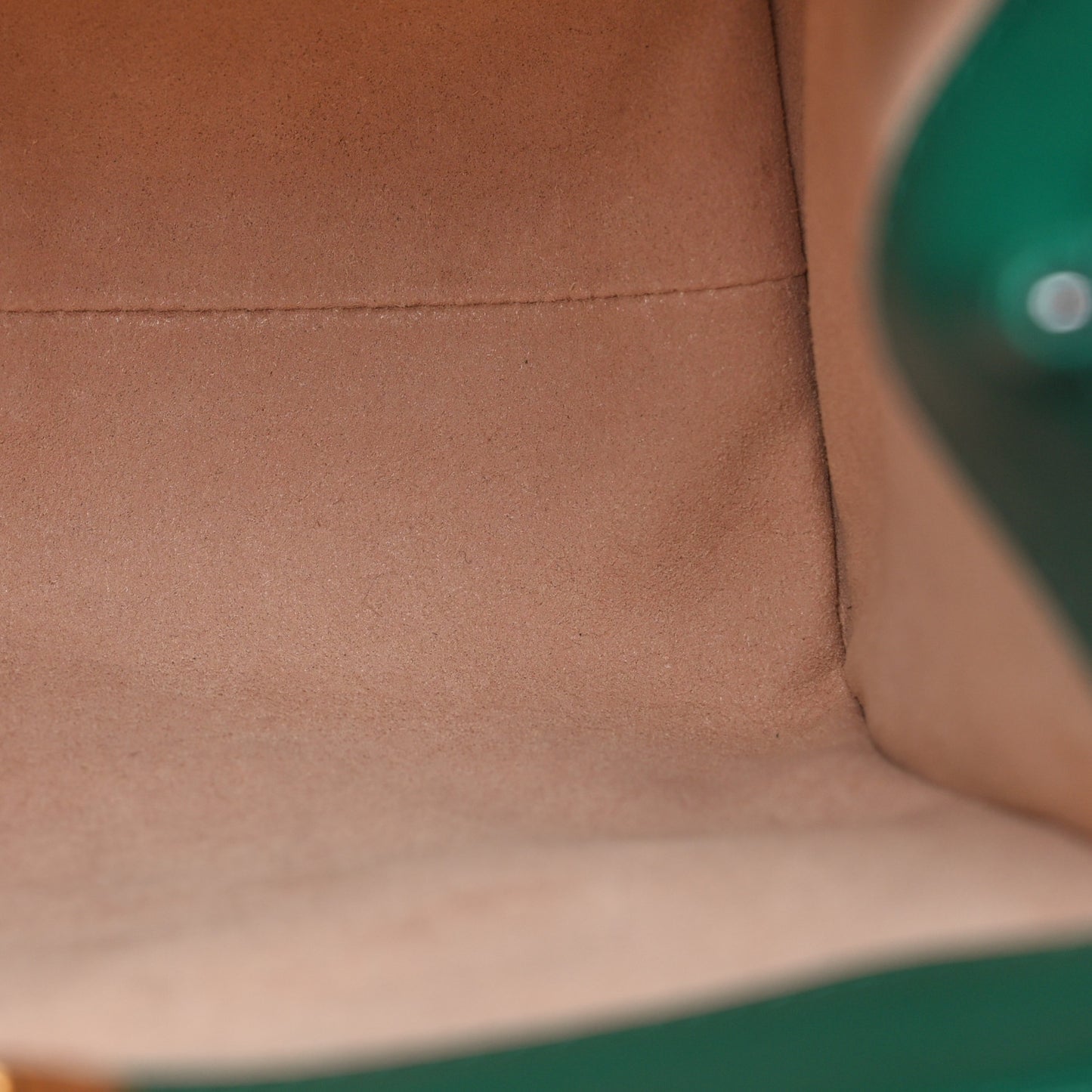 Wonka Grain Calfskin Mini Diana Tote Bag Green Yellow Fluo
