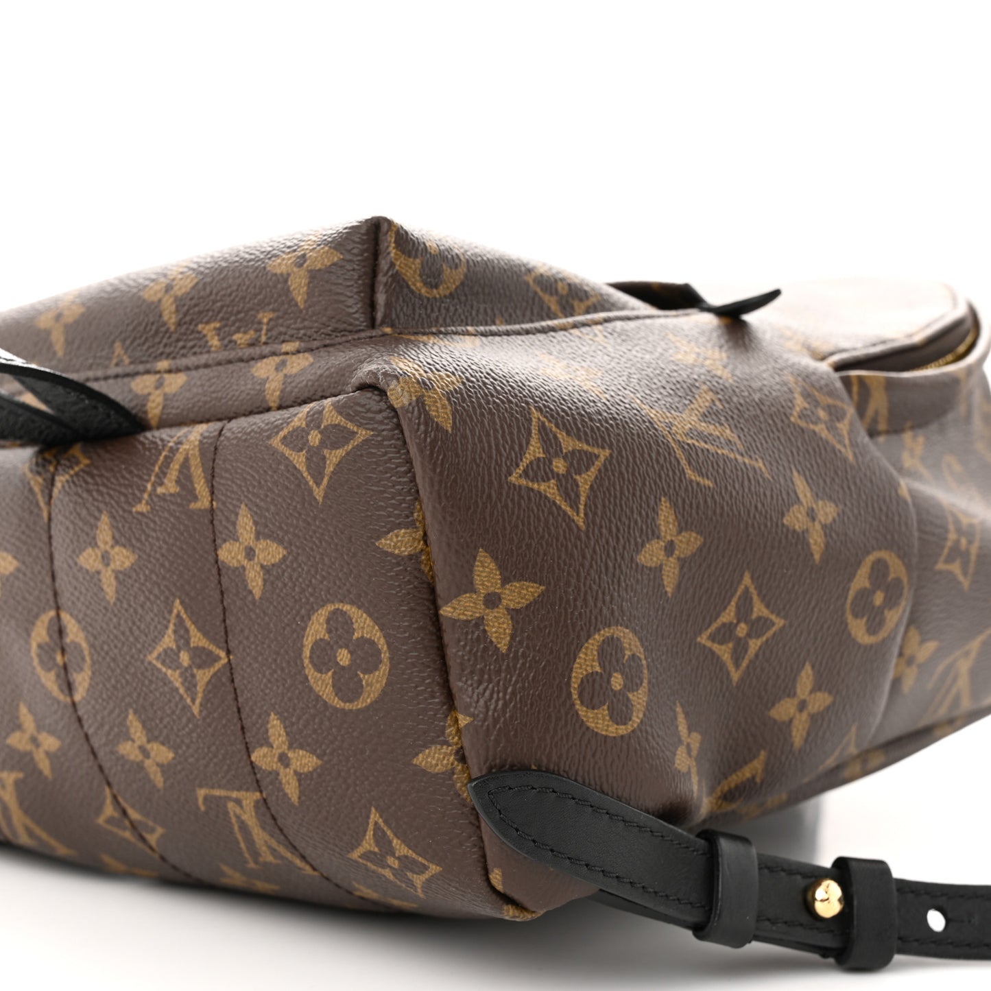 Monogram Palm Springs Backpack PM