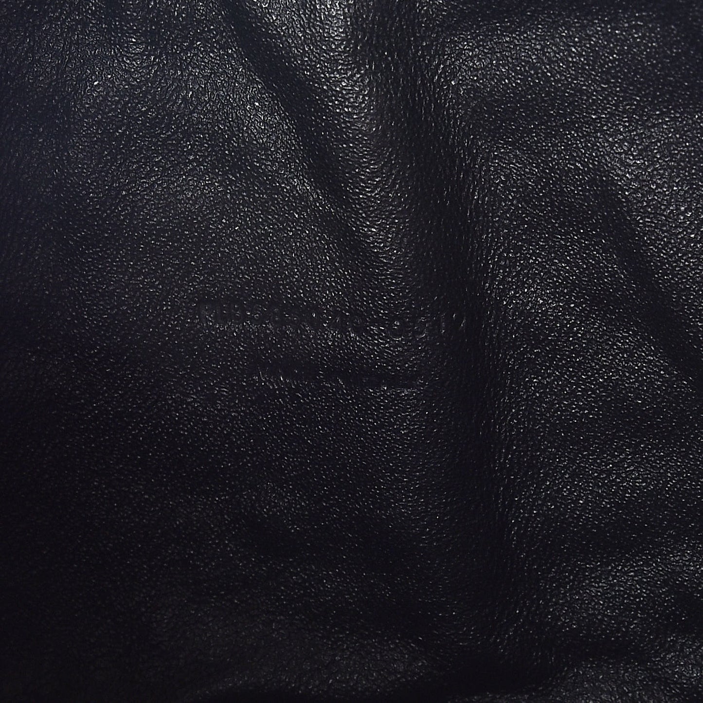 Grain De Poudre Matelasse Monogram Mini Lou Camera Bag New Powder