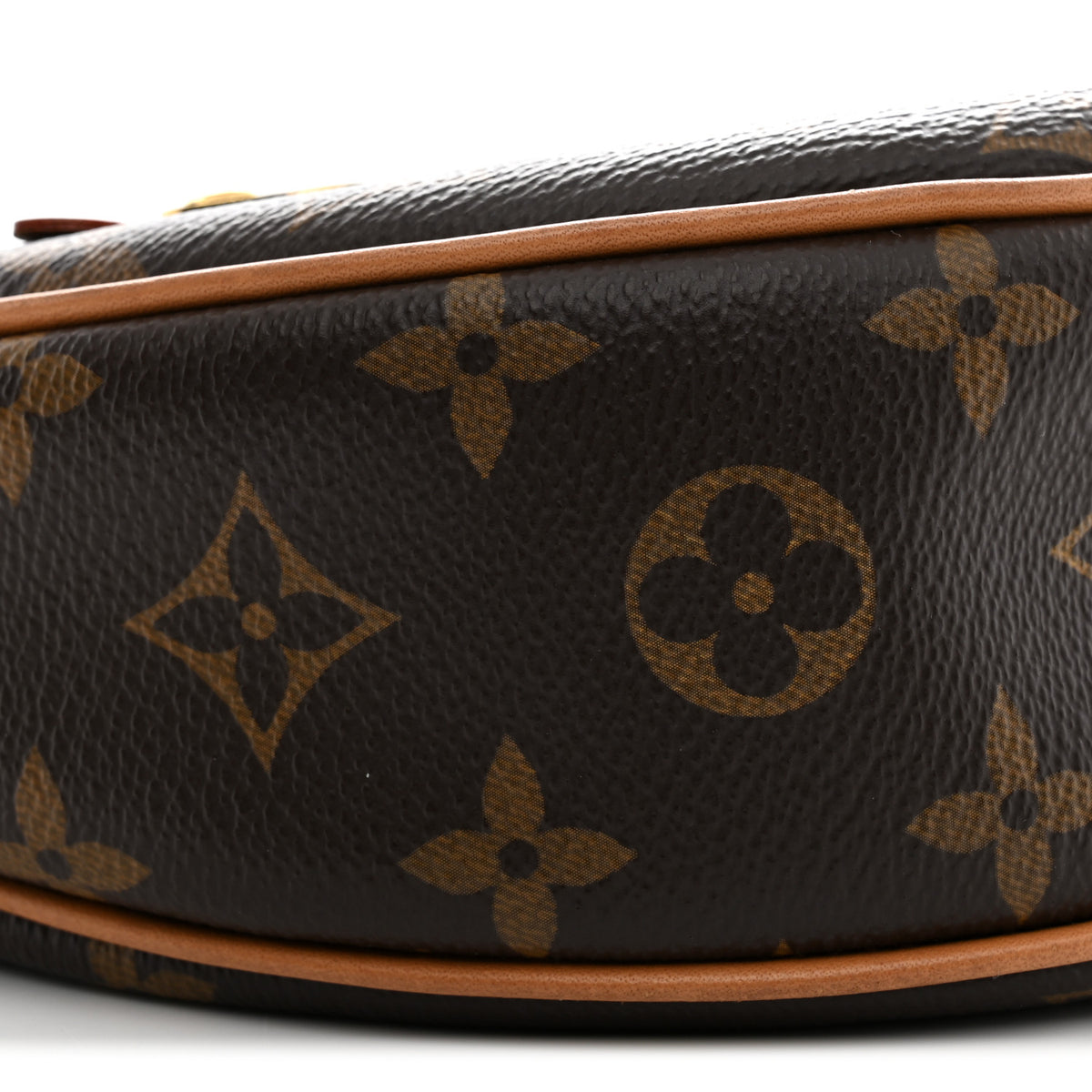 Louis Vuitton Monogram Loop 8 of 10