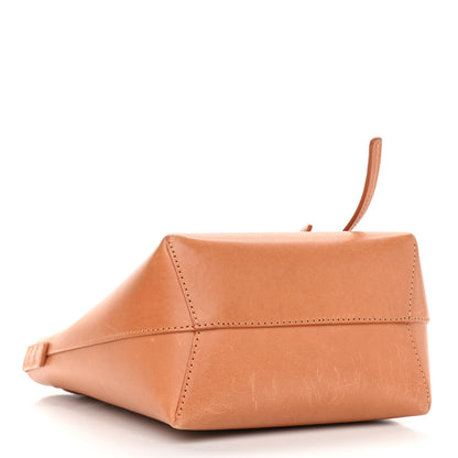 Mansur Gavriel Vegetable Tanned Calfskin Mini Bucket Bag Camello Rosa 4 of 14