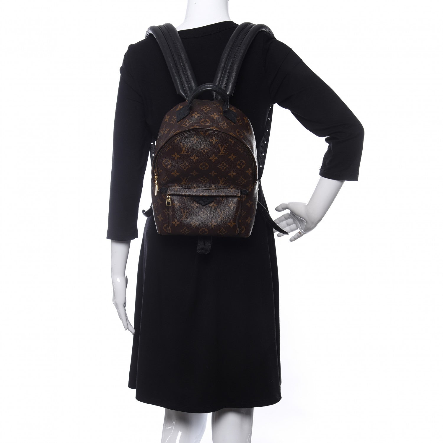 Louis Vuitton Monogram Palm Springs Backpack PM 2 of 16