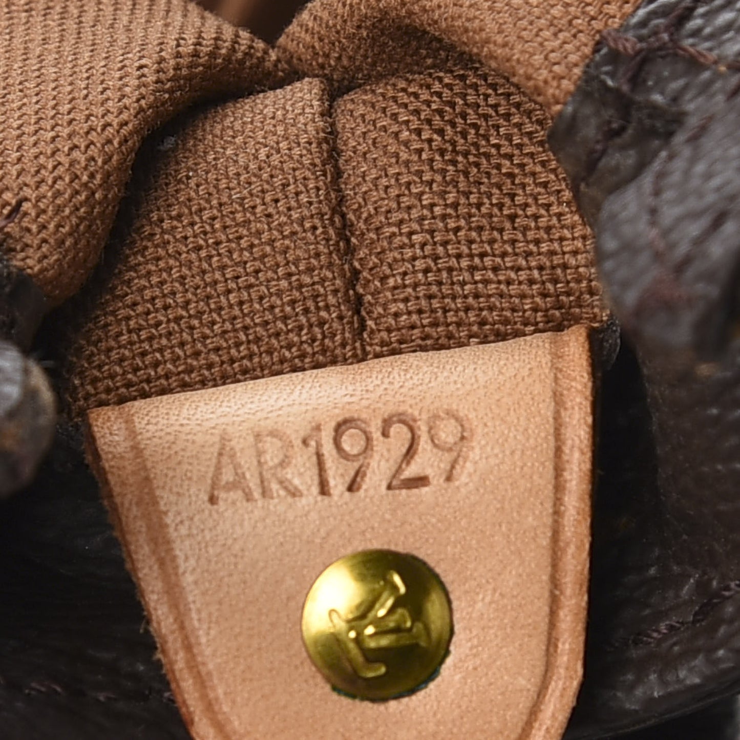 Monogram Cabas Mezzo