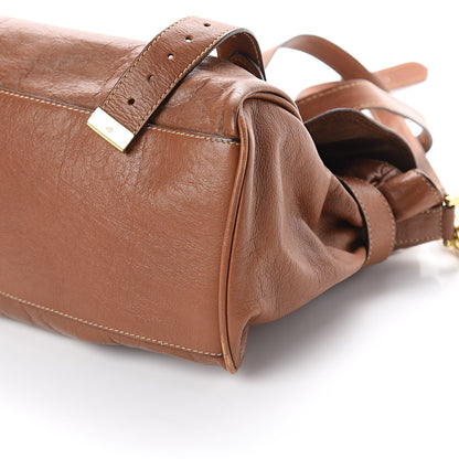Mulberry Soft Buffalo Medium Alexa Oak 8 of 8